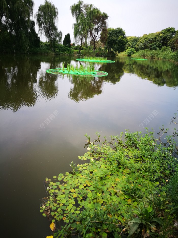 晚上钓浅水_晚上钓鱼钓浅还是钓深_晚上钓鱼浅还是深