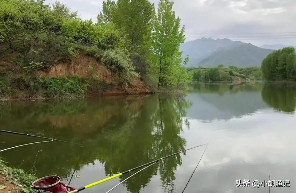 晚上钓鱼钓浅还是钓深_晚上钓浅水_晚上钓鱼浅还是深