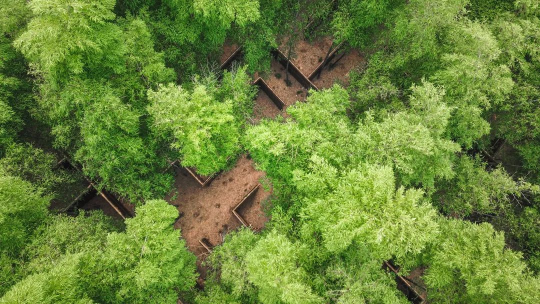 剑灵圣地在哪里_剑灵圣地分手什么意思_剑灵圣地机制