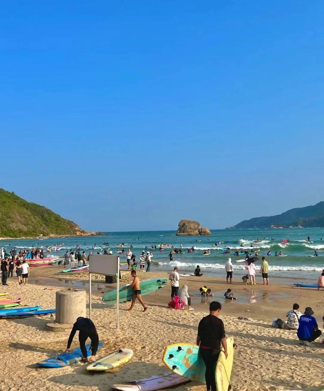 沙滩鱿鱼季节-鱿鱼小宝贝的沙滩探险：海底美食寻觅