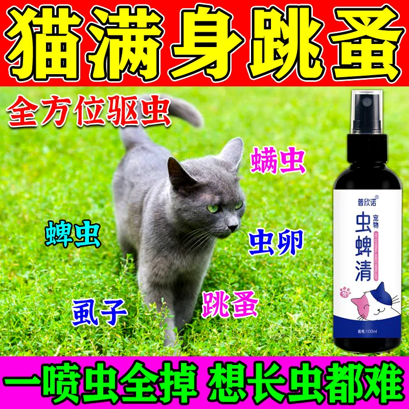 体内有虫猫咪会瘦吗_猫体内有虫会不吃饭吗_猫体内有虫 人没事吧