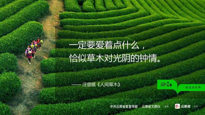 新战线_新部落守卫战联盟战_新飞飞挤线器