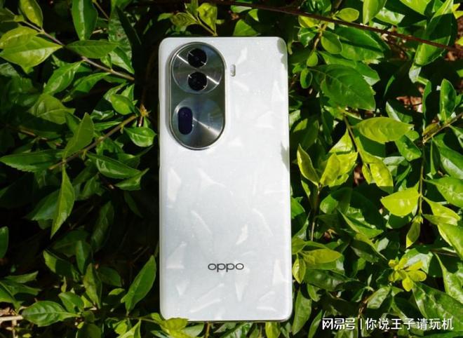 oppof19_oppoF19拆_oppof19pro