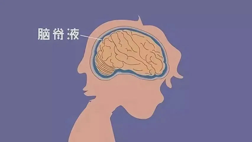 船的底部是怎么的构造_船的底部结构_船底构造