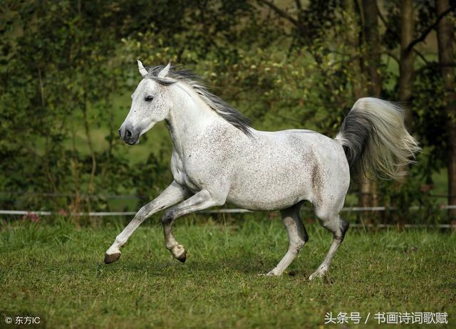 1 2 3成语是什么成语-数字组合成语大揭秘：一马当先、二人转、三位一体