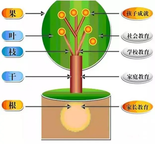 孙立人儿女_孙立人教育孩子_孙立人小孩