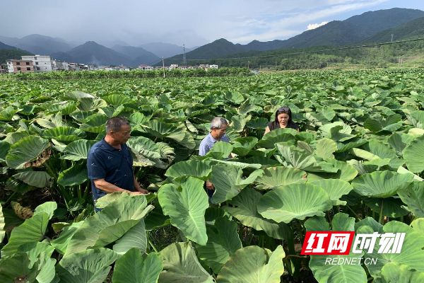 漫熊祭安卓下载_熊漫jin我的先生全部_漫熊科技有限公司