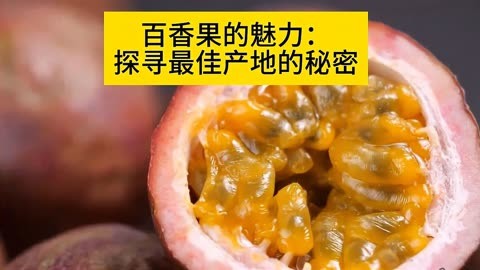 光环重置器战争修改版怎么用_光环战争终极版修改器_光环战争重置版修改器