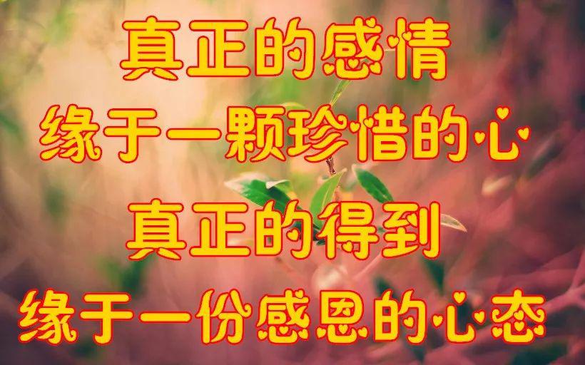 真心样子一生朋友人是什么歌曲_真心真意过一生朋朋_人的一生最真心的朋友是什么样子