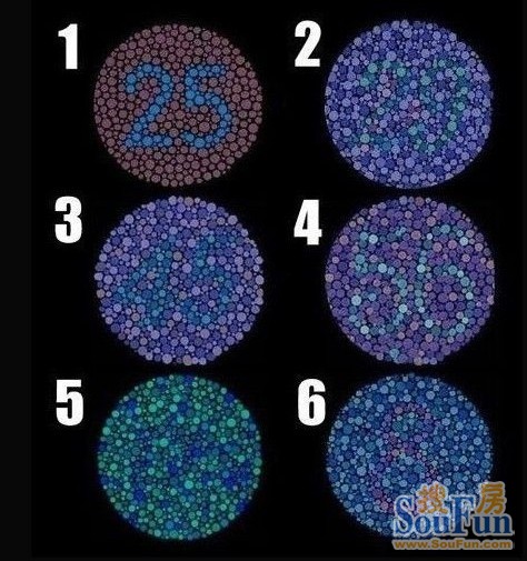 看图猜词游戏_看图猜词的游戏_看图猜词小游戏