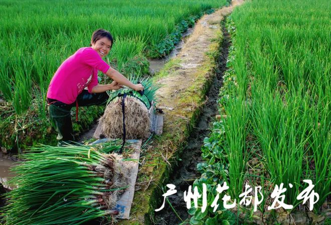农村光屁股小孩_农村光屁股小孩_农村光屁股小孩
