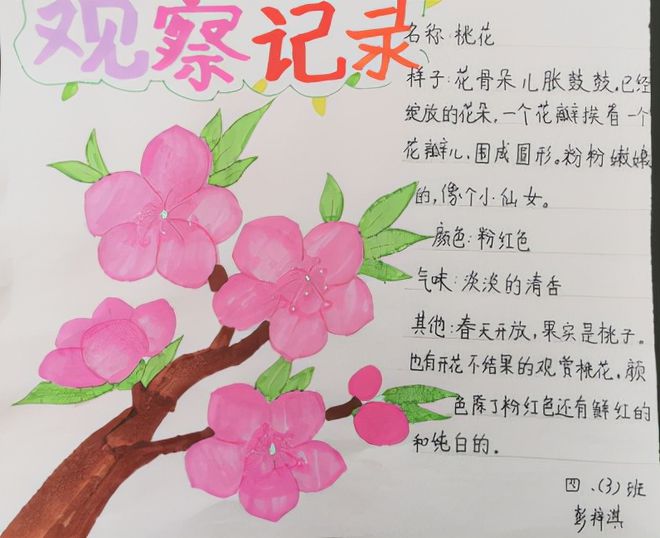 8步舞基本步法教学_八步教学法_中三舞步基本步法教学