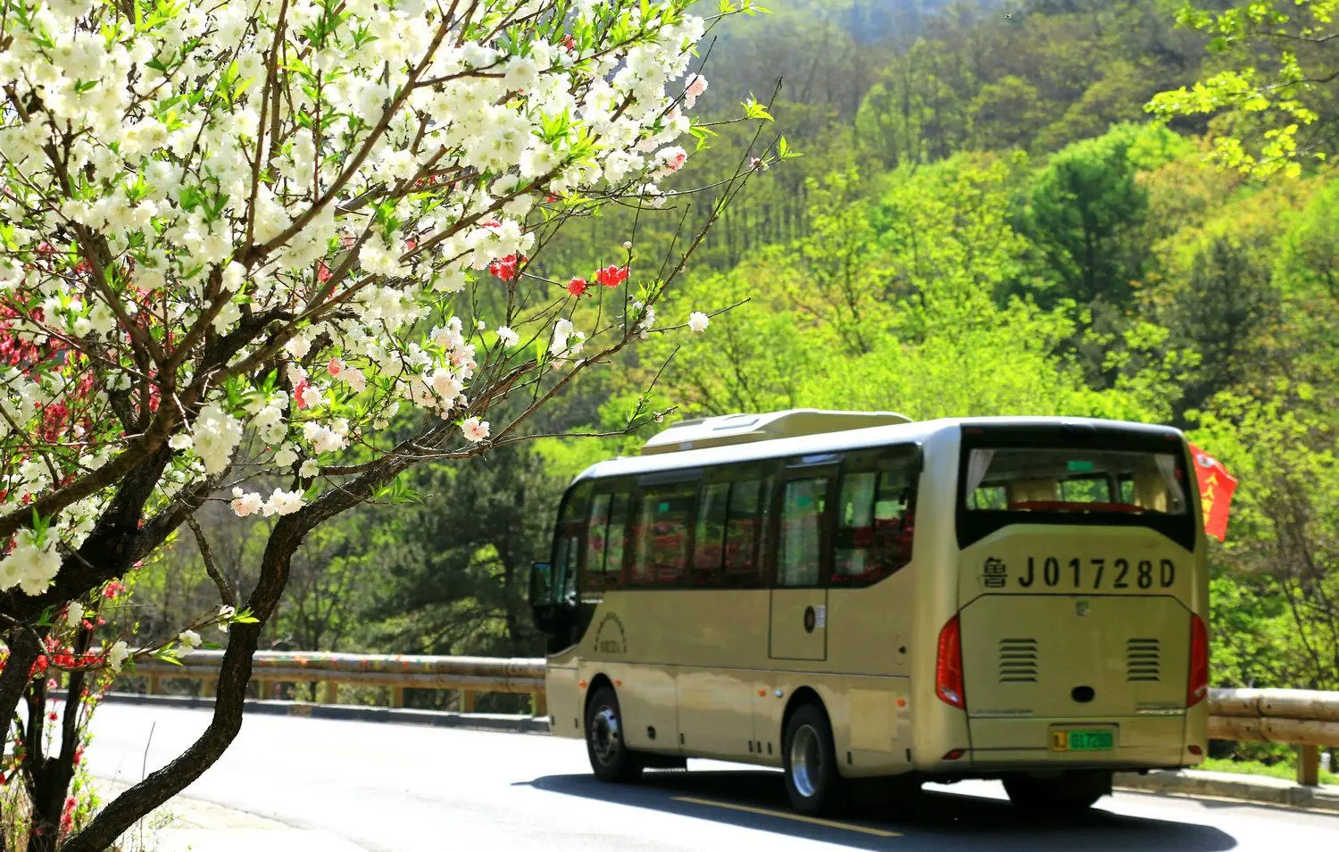 泰山逃票路线_2020泰山逃票攻略_泰山逃票路线2021