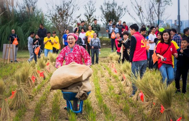 farmland翻译_farmland_farmland什么意思