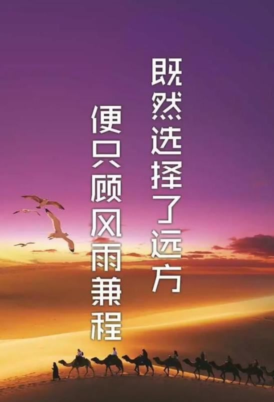 f.s._f.s.是什么意思_f.s.