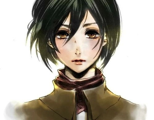 mikasa