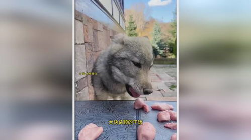 狼吞虎咽