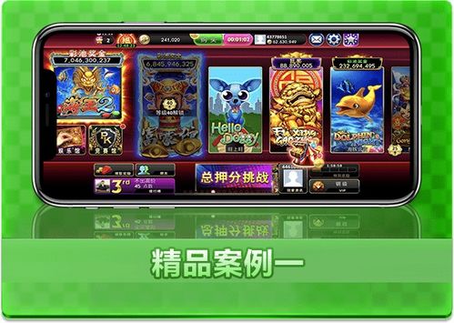 游戏定制开,定制游戏开发生命之旅