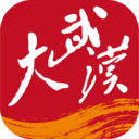 大武汉  大武汉